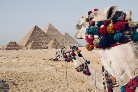 Egypt Travel Guide for First-Time Visitors