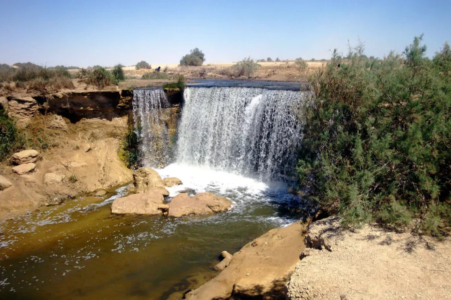 Fayoum Oasis & Wadi El Rayan Desert Safari | Private Day Tour from Cairo